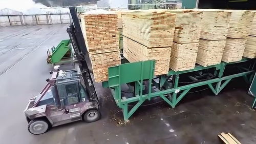 探秘全球最大木材加工廠 萬(wàn)噸原木到高級(jí)包裝的華麗轉(zhuǎn)身